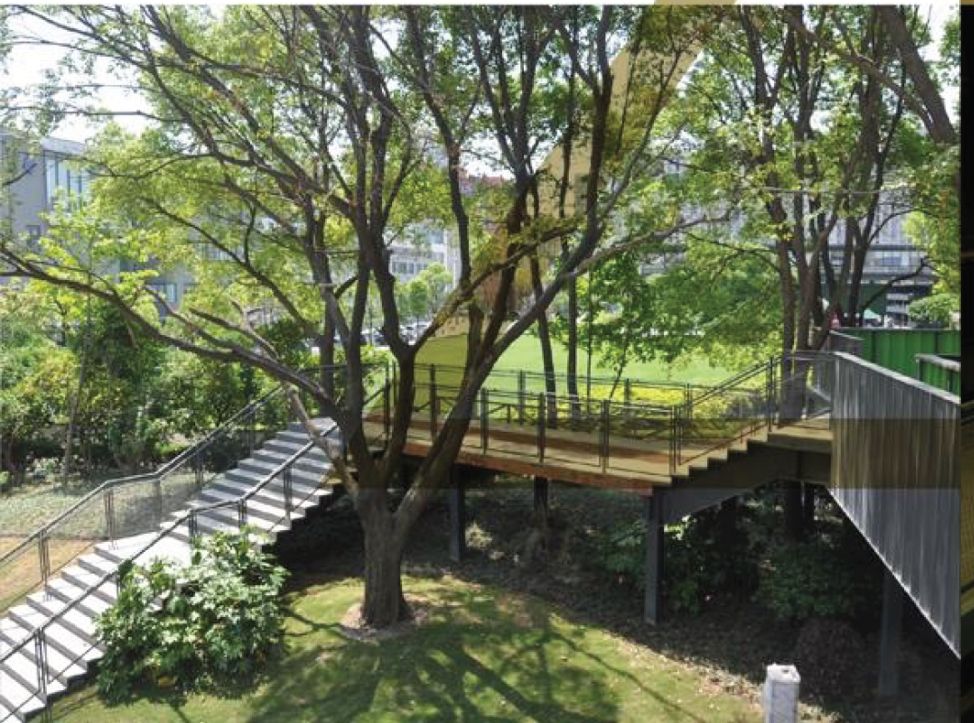 Changyang Campus Green Spaces and Innovation Environment